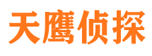 伍家岗侦探公司